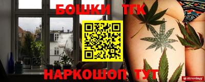 мдпв Партизанск