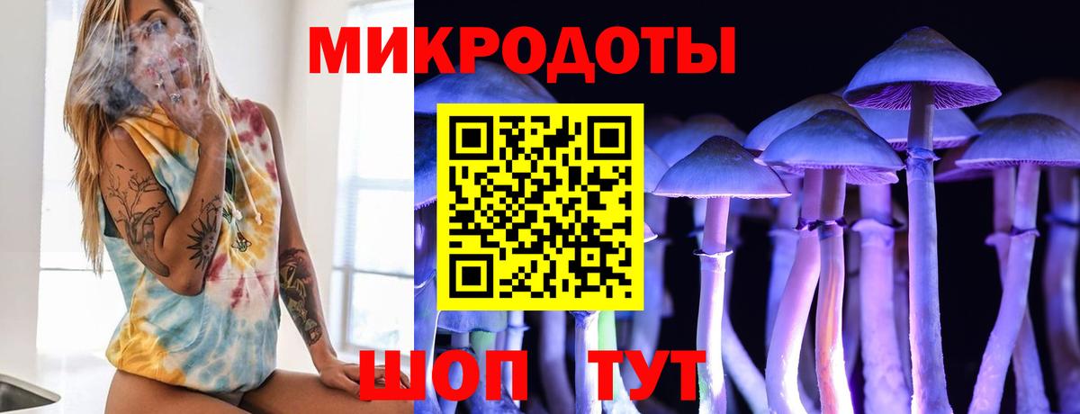 Моздок  Галлюциногенные грибы Magic Shrooms  Галлюциногенные грибы Psilocybe  Вход с VPN 